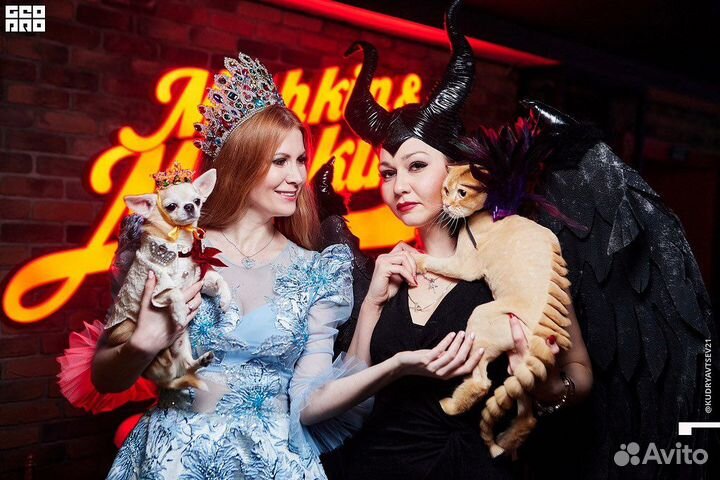 Стрижка животных