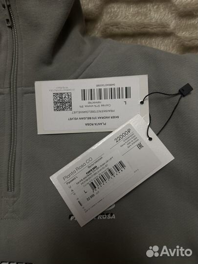 Онарак planta rose L