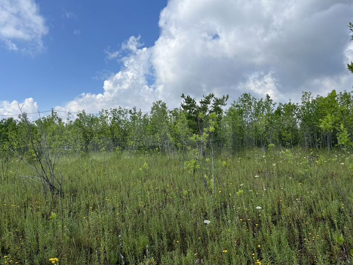 Участок 6 сот. (ИЖС)