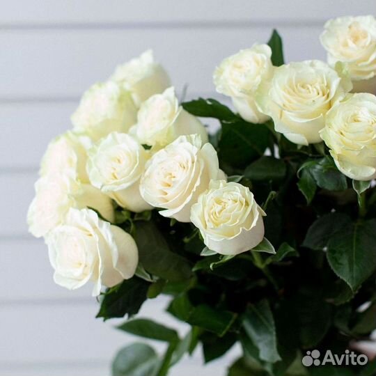 Высокие Высокие розы Гигантские розы Букеты Достав