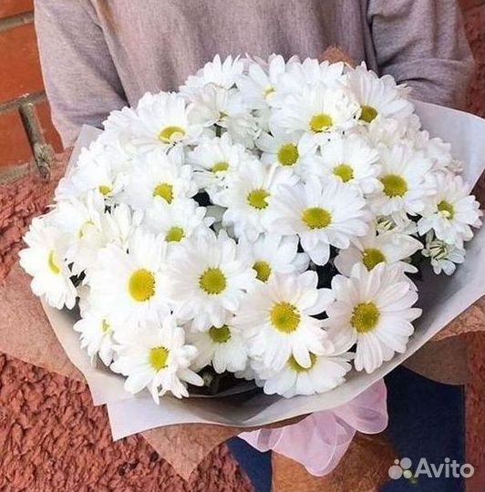 Хризантема Букеты с доставкой