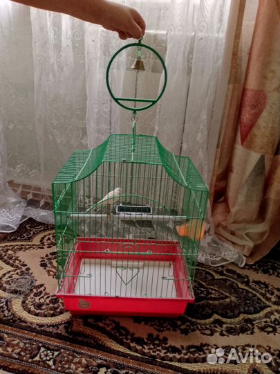 Клетка для попугая