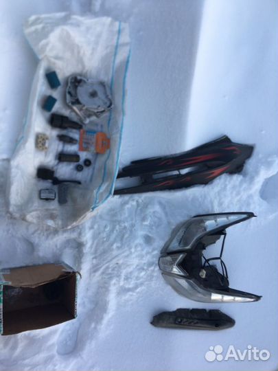 Ирбис Грейс