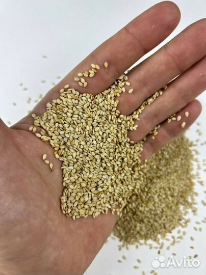 Кунжут белый
