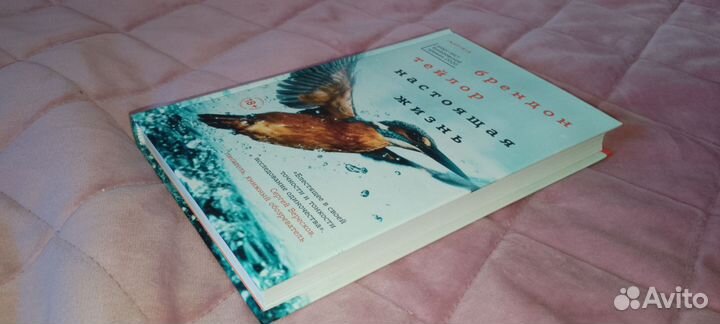 Брендон Тейлор - Настоящая жизнь