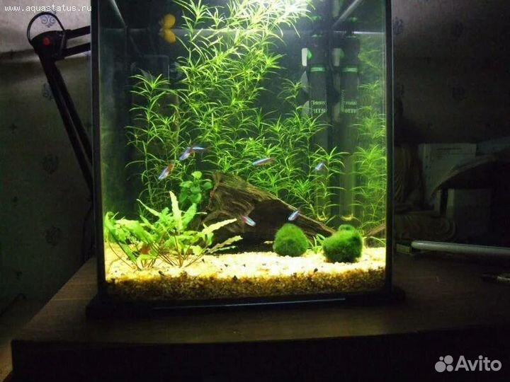 Аквариум