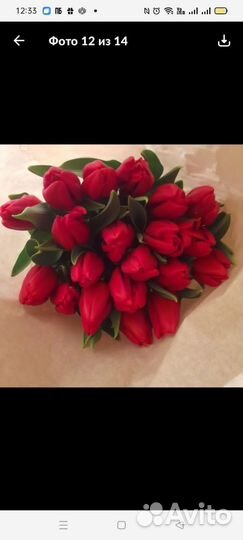 Тюльпаны к 8 марта оптом