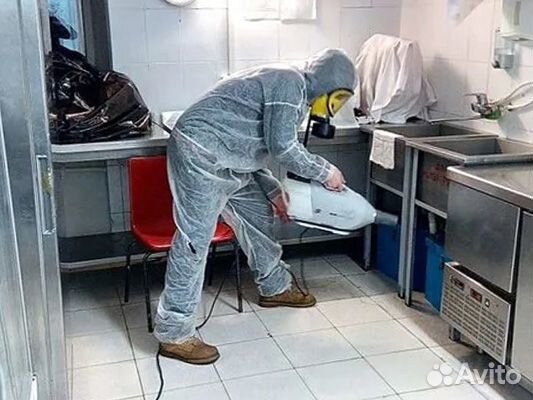 Уничтожим тараканы, клопы, крысы, борщевик, короед