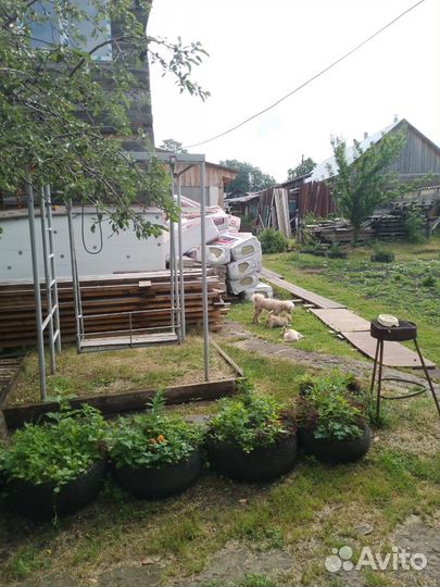 Отдам бесплатно