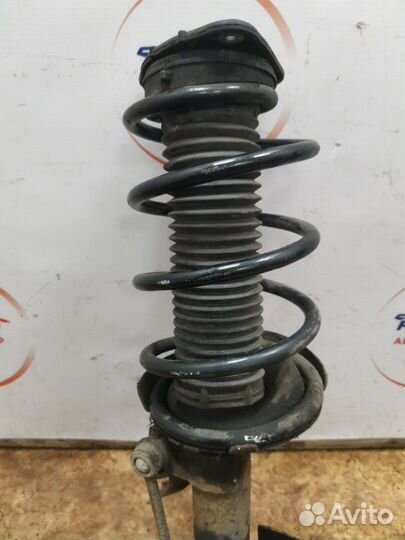 Амортизатор подвески передний левый Ford Focus 2