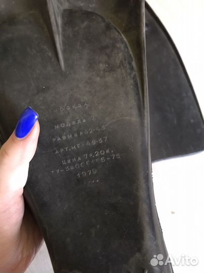 Ласты нерпа