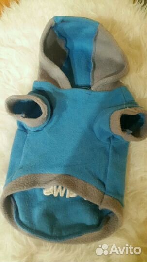 Одежда для животных