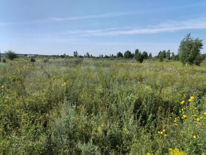 Участок 11 сот. (ИЖС)