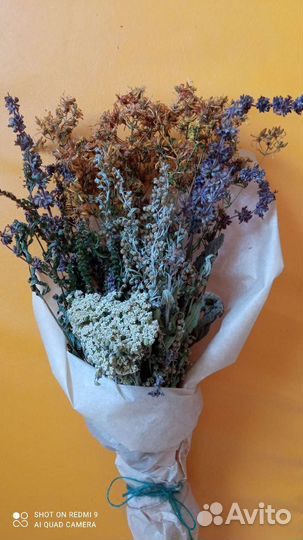 Женские парения-букет трав