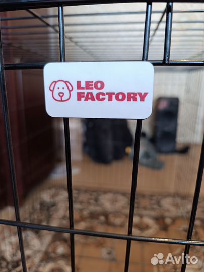 Клетка для собак