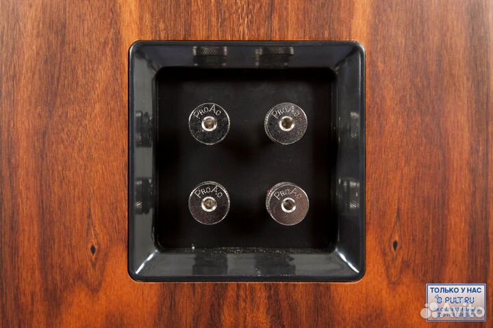 Акустическая система ProAc Response D30 mahogany