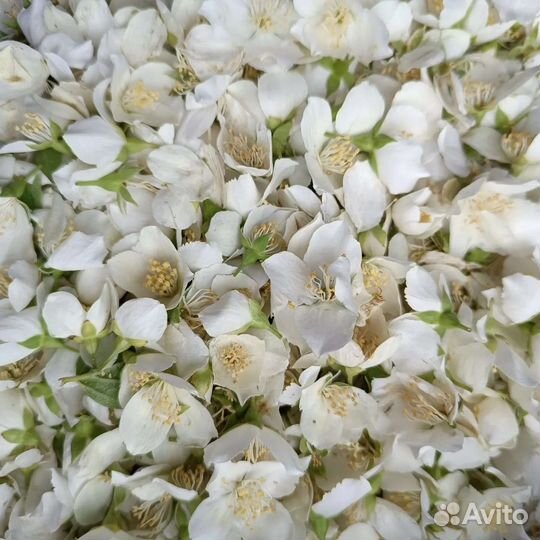 Иван чай ферментированный