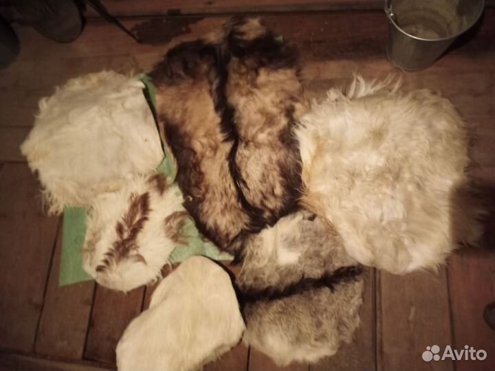 Козья шкура