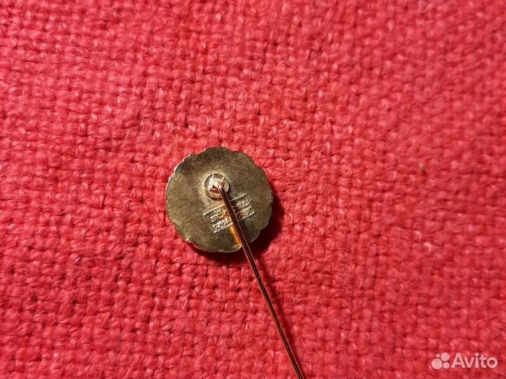 Гимнастика клуб/T.V.loxstedt v.1863/ Германия