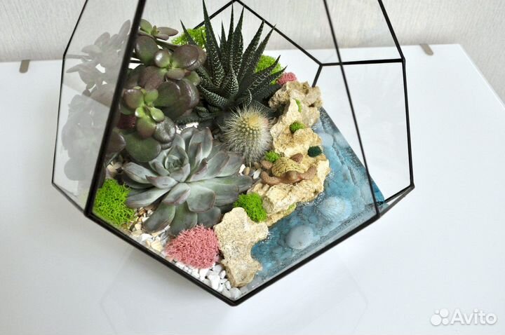 Флорариум с водоемом Капля L