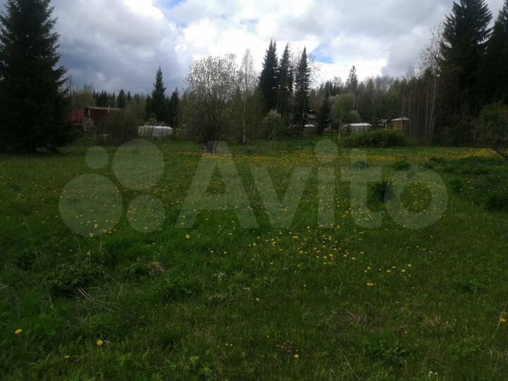 Участок 10 сот. (СНТ, ДНП)