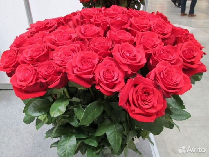 Цветы с Доставкой Розы Пионы Букет