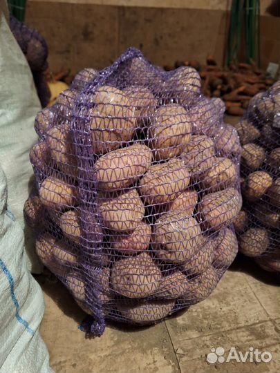 Продукты питания:картофель,свекла,морковь,капуста