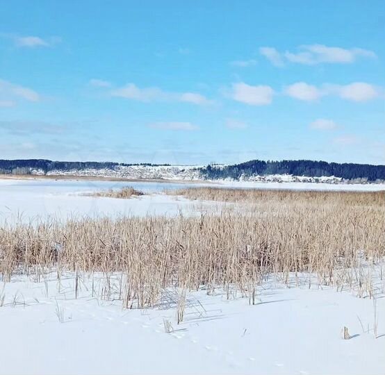 Участок 50 сот. (ИЖС)