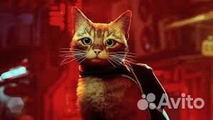 Stray ps 4/5 игра