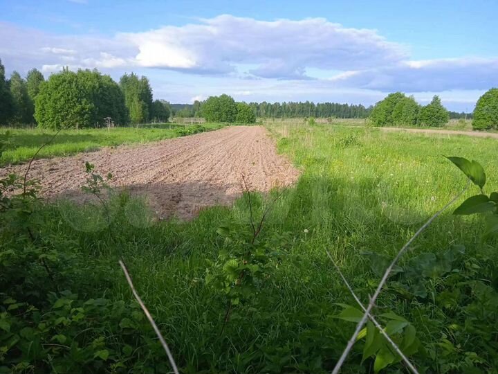 Дом 48 м² на участке 30 сот.