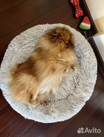 Лежак для собаки/кошки