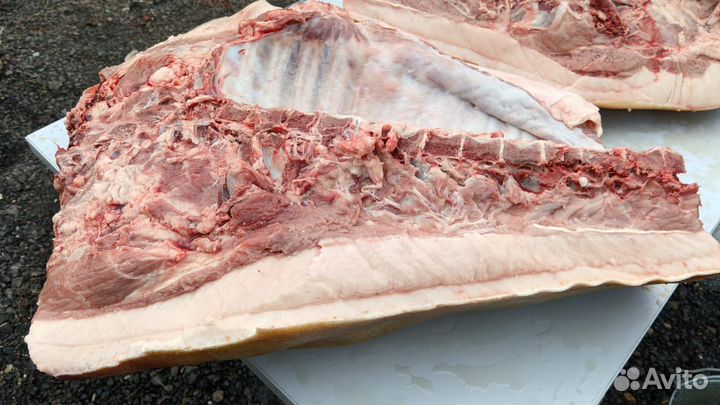 Домашние мясо свина