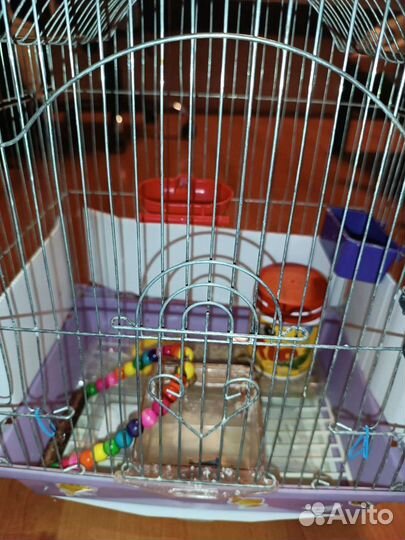 Клетка для попугая бу