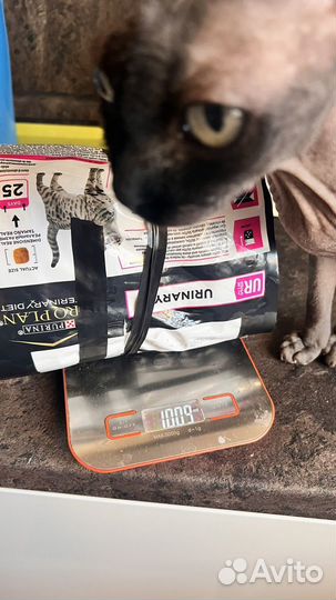 Про план уринари (pro plan urinary) 1 кг