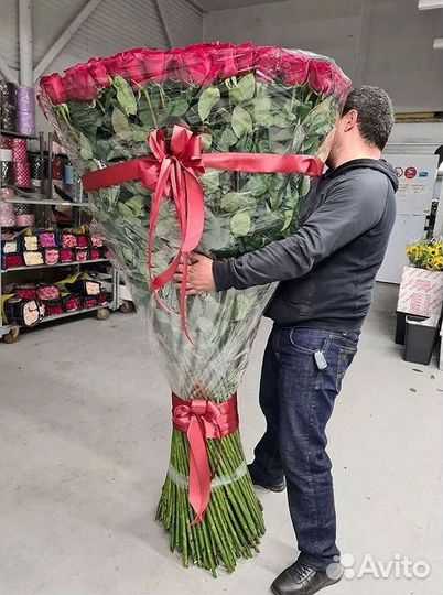 Розы гиганты 140 150 160 170 180 200