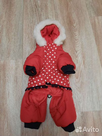 Комбинезон для маленькой собачки