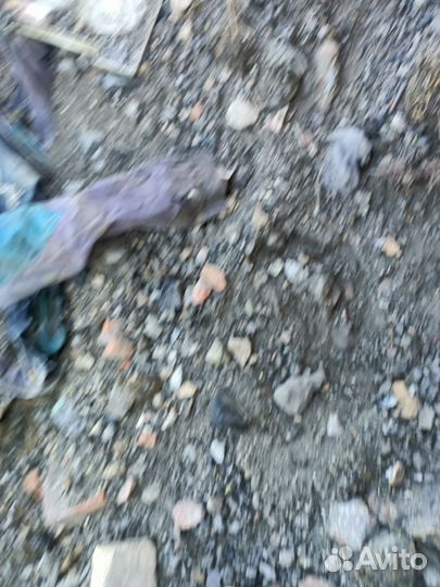 Подстилка крс животным Дизенфекция