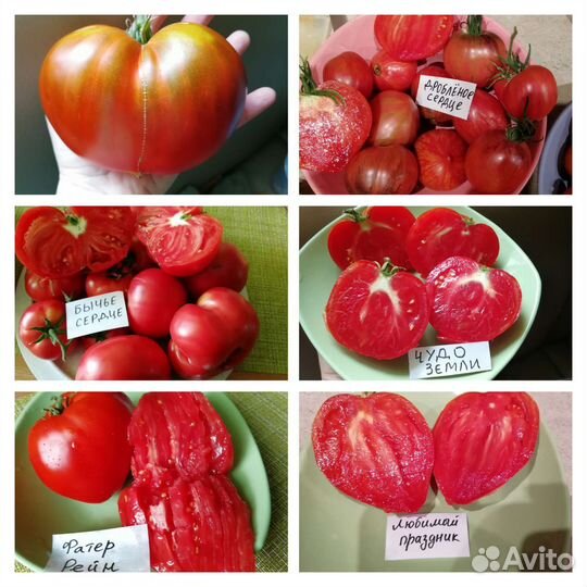 Томаты сортовые красные, семена
