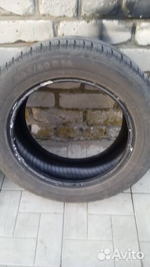 Nordman SX3 205/60 R16