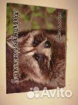 Магниты на холодильник