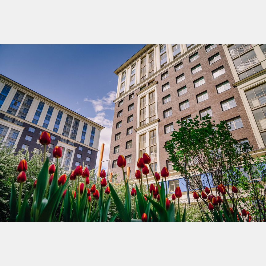 3-к. квартира, 83,7 м², 9/12 эт.