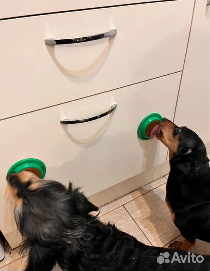 Лакомства для кошек и собак