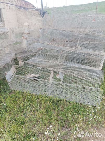 Сетки для кур
