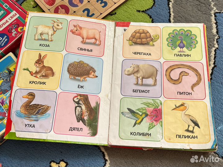 Развивашки пакетом