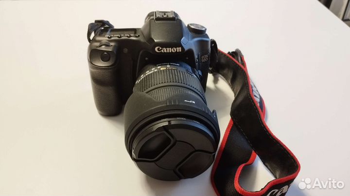 Canon EOS 50D + Sigma 18-200mm + Canon 430 EX II