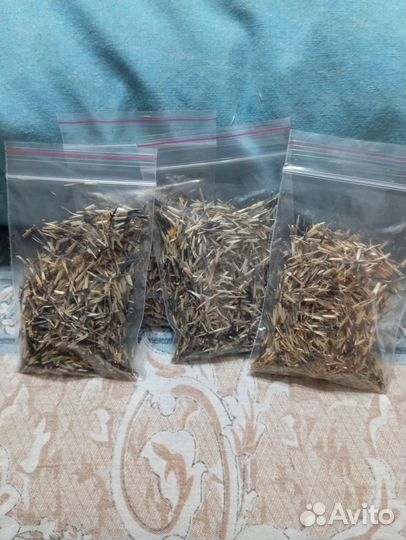 Семена бархатцев