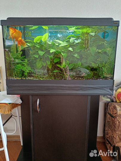 Аквариум с тумбой 120л