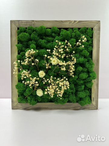 Панно со мхом и стабилизированными цветами