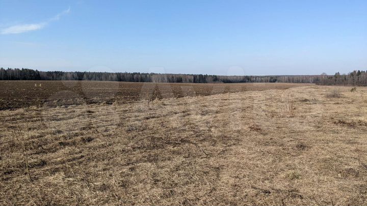 Участок 18 сот. (СНТ, ДНП)