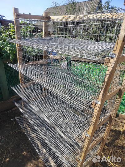 Клетка для перепелов